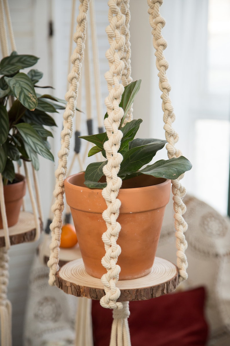 May include: A white macrame plant hanger with a brown terracotta pot and a green plant hanging from it. The plant hanger is hanging from a wooden shelf.