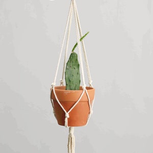 May include: A hanging macrame plant holder with a terracotta pot containing a green cactus. The holder is made of cream-colored rope and features a wooden ring at the top for hanging. The letter "C" is in the upper left corner.