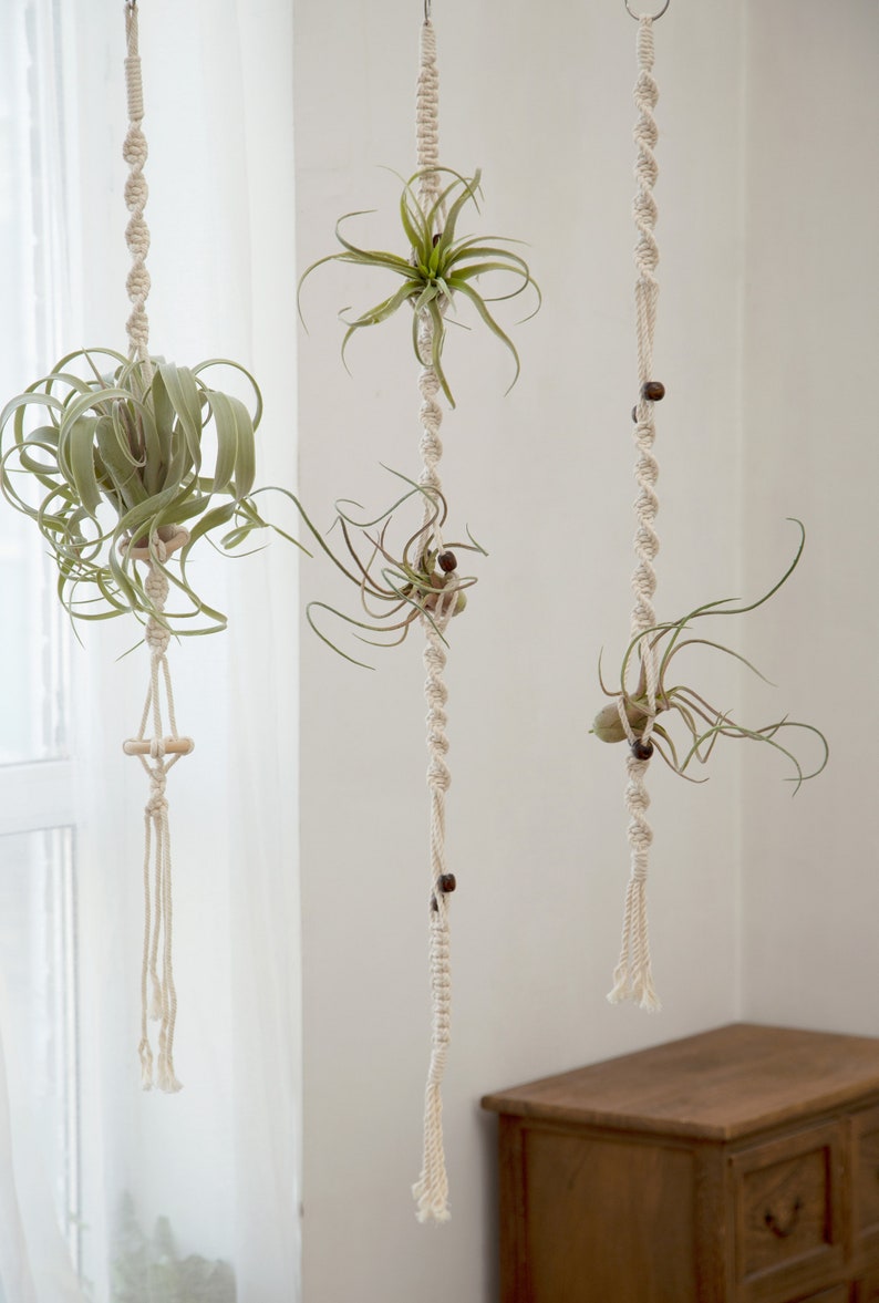 Macrame air plant holder Airplants tillandsia display