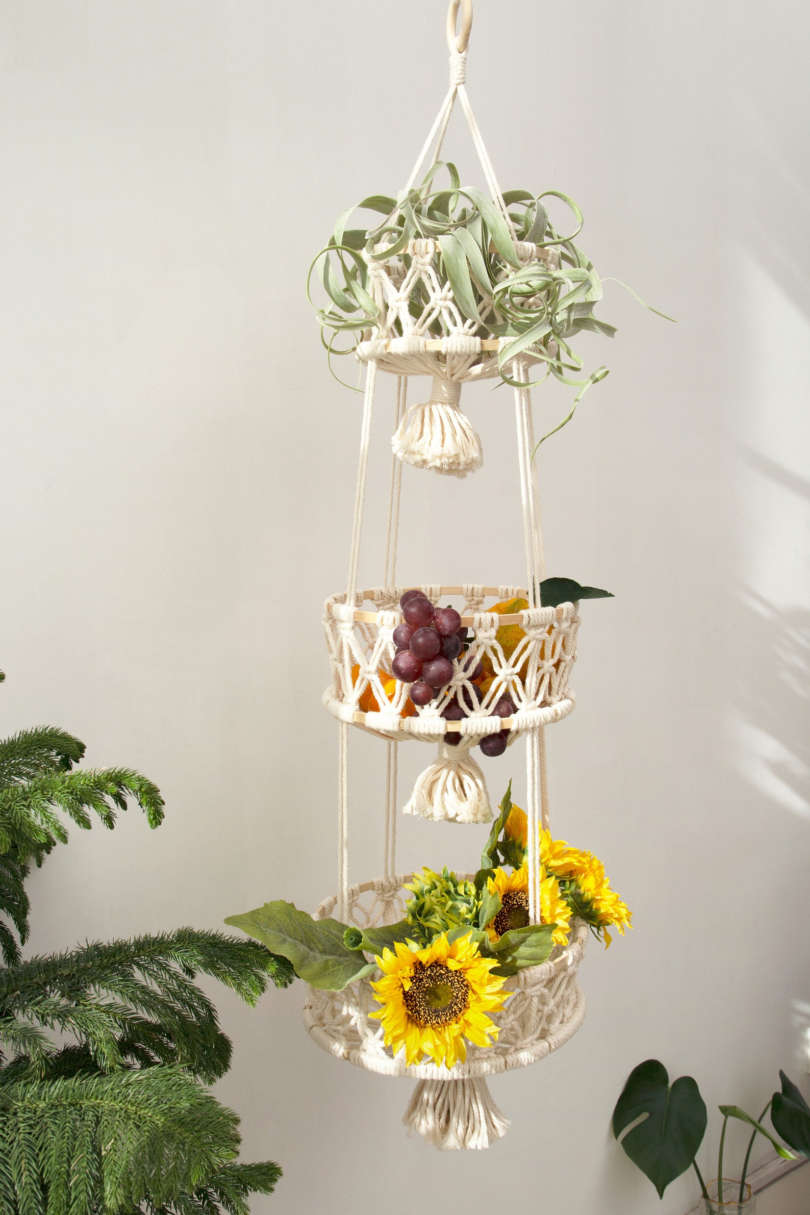 Hanging Fruit Basket Aus at David Fuller blog