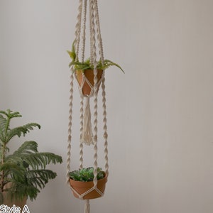 Style A macrame plant hanger featuring intricate knotting with tassels, holds two terra cotta pots with lush ferns and succulents, designed to enhance interior spaces with vertical greenery