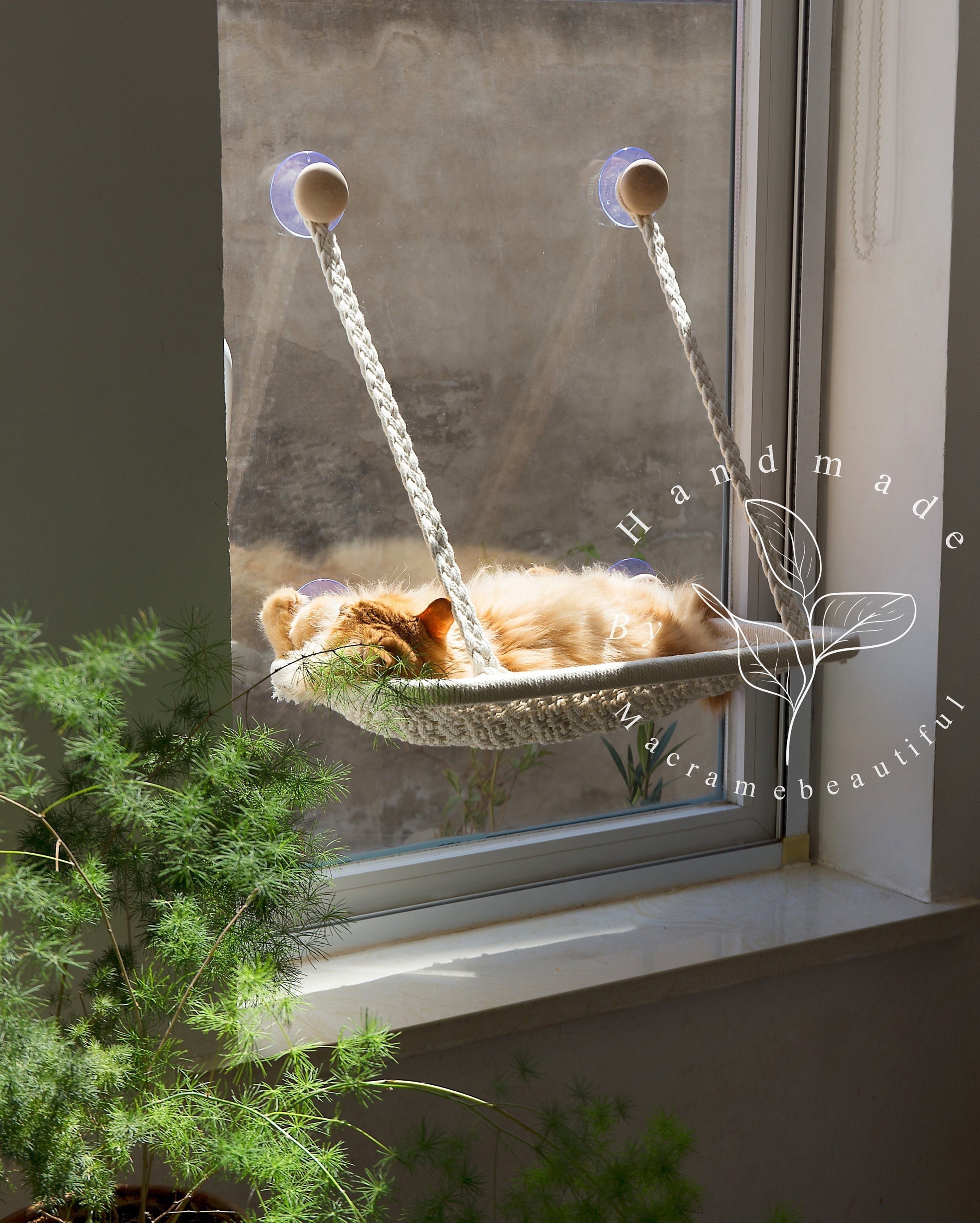 Comfy Cat Window Perch Macrame Cat Hammock for Wall or Window 2 Sizes 19  Colors Available Modern Cat Furniture Boho Cat Lover Gift 