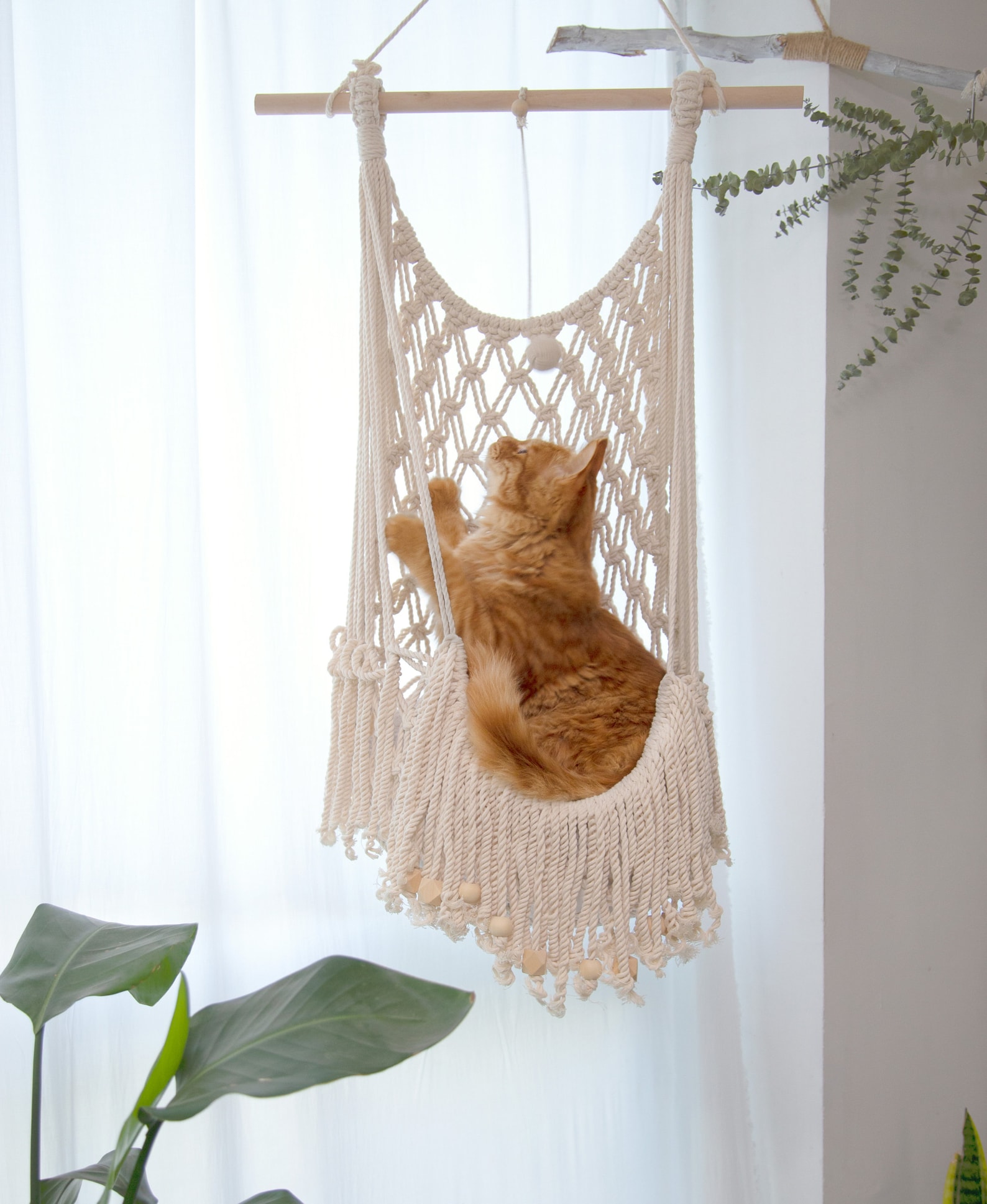 Hanging Cat Bed Macrame Cat Hammock Cat Wall Furniture Cat Swing ...