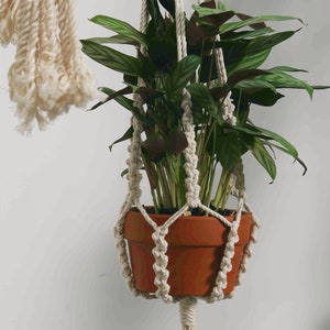 May include: A terracotta-colored plant pot holding a green plant with striped leaves, suspended by a cream-colored macrame plant hanger. The plant hanger is knotted and has a tassel at the bottom. Another macrame hanger is visible in the background.