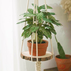 May include: A white macrame plant hanger with a wooden round shelf, holding a potted green plant. The hanger is hanging from the ceiling.