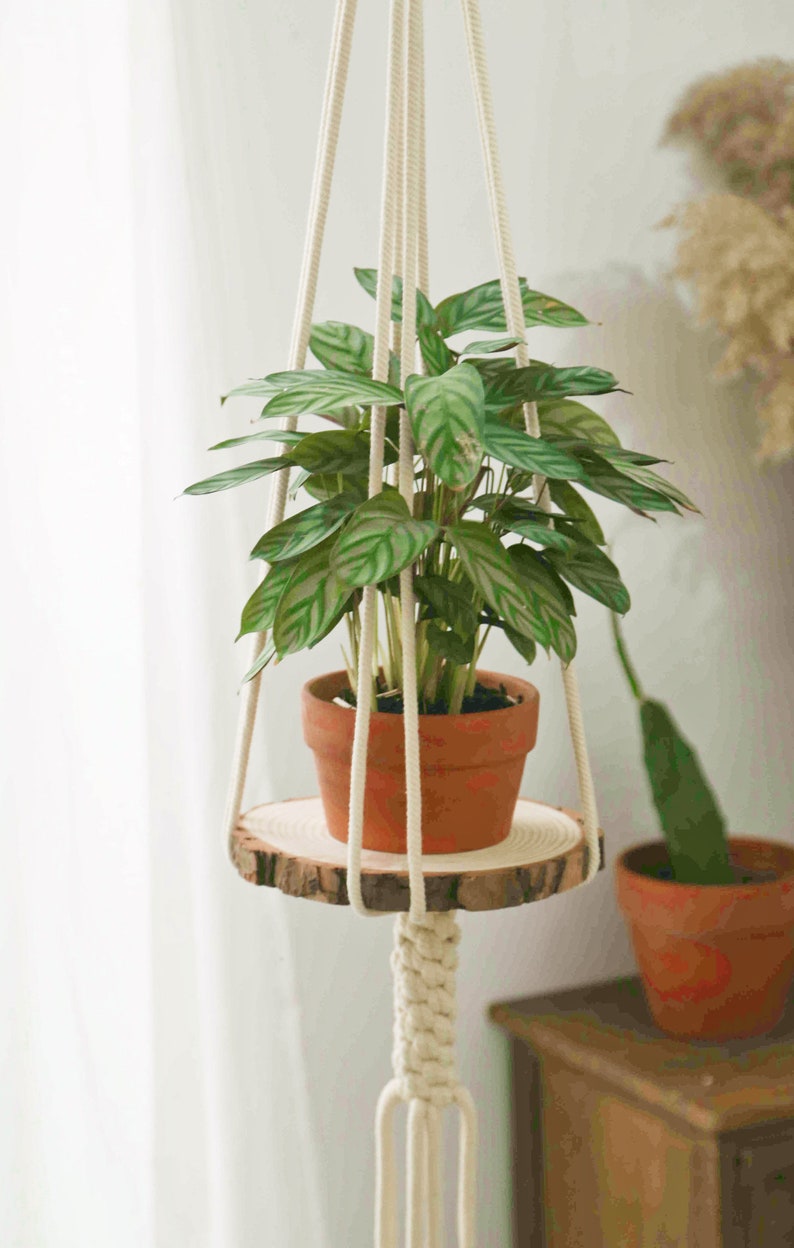 May include: A white macrame plant hanger with a wooden round shelf, holding a potted green plant. The hanger is hanging from the ceiling.