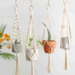 Assortment of four handmade macrame plant hangers labeled A to D, each with unique knot designs and bead embellishments, showcasing different plant types in ceramic pots, enhancing any home decor.