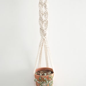 Stylish Style C macrame plant hanger measuring 100 cm in length, crafted from white cotton rope with intricate knotting, suspending a terracotta pot with trailing greenery for a modern home decor accent.