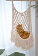 Hanging cat bed, Macrame cat hammock, Cat wall furniture, Cat swing, Crochet cat cave, Cat supplies Modern cat tree Cat gifts Cat lover gift 