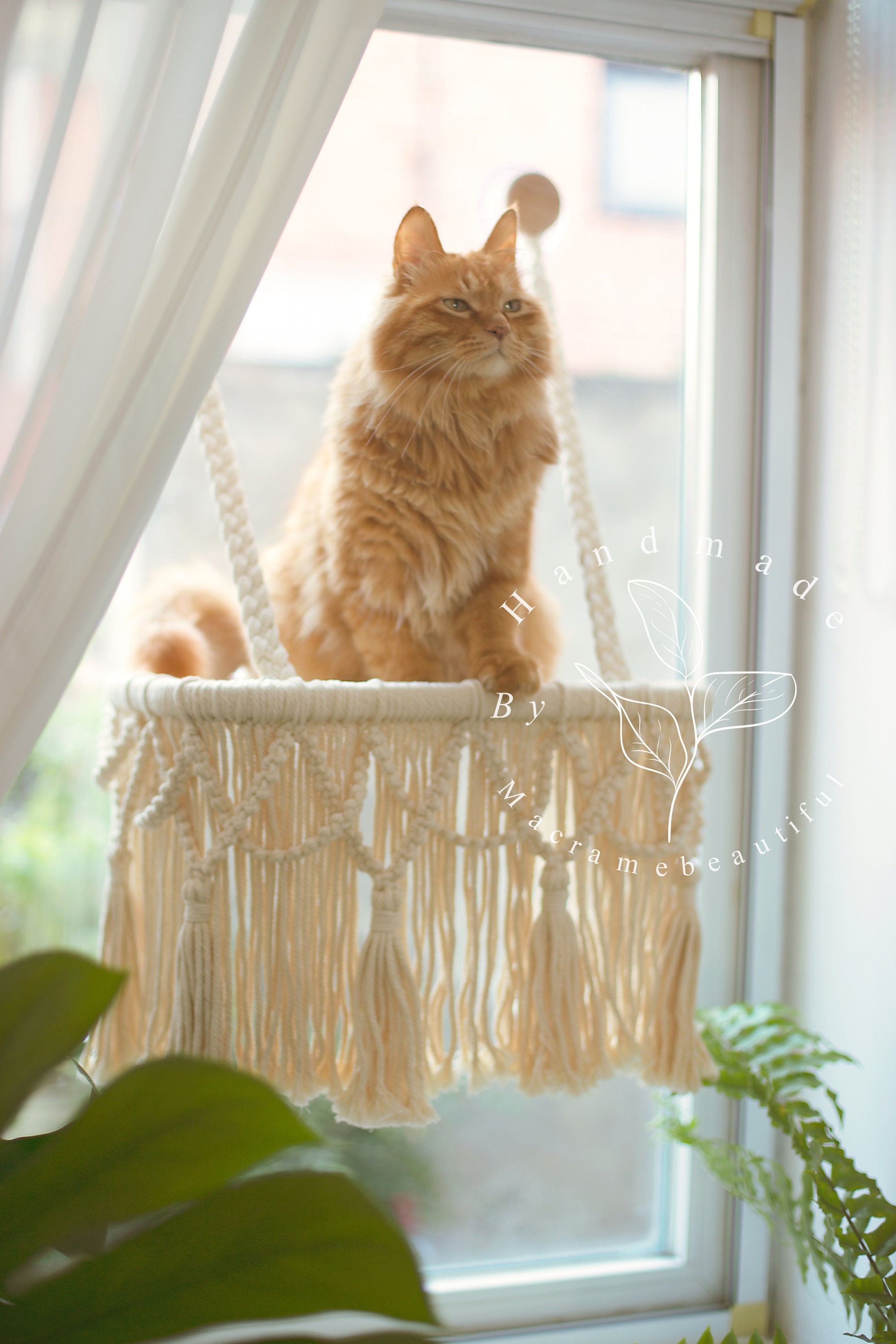 Cat Window Perch Macrame Cat Hammock Window Cat Seat Window Mounted Cat ...