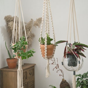May include: Three macrame plant hangers with different styles and colors. The hangers are made of natural cotton rope and feature a simple design. The hangers are hanging from the ceiling and are holding potted plants.