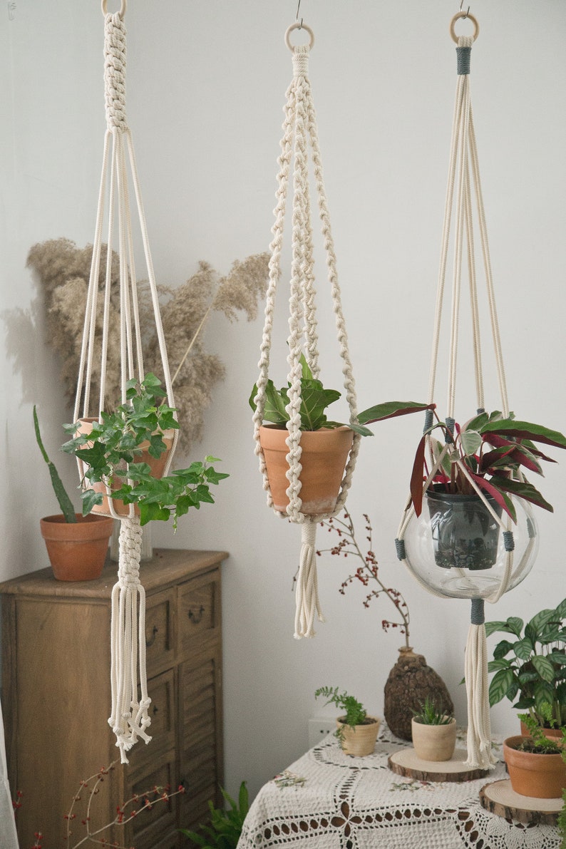 May include: Three macrame plant hangers with different styles and colors. The hangers are made of natural cotton rope and feature a simple design. The hangers are hanging from the ceiling and are holding potted plants.