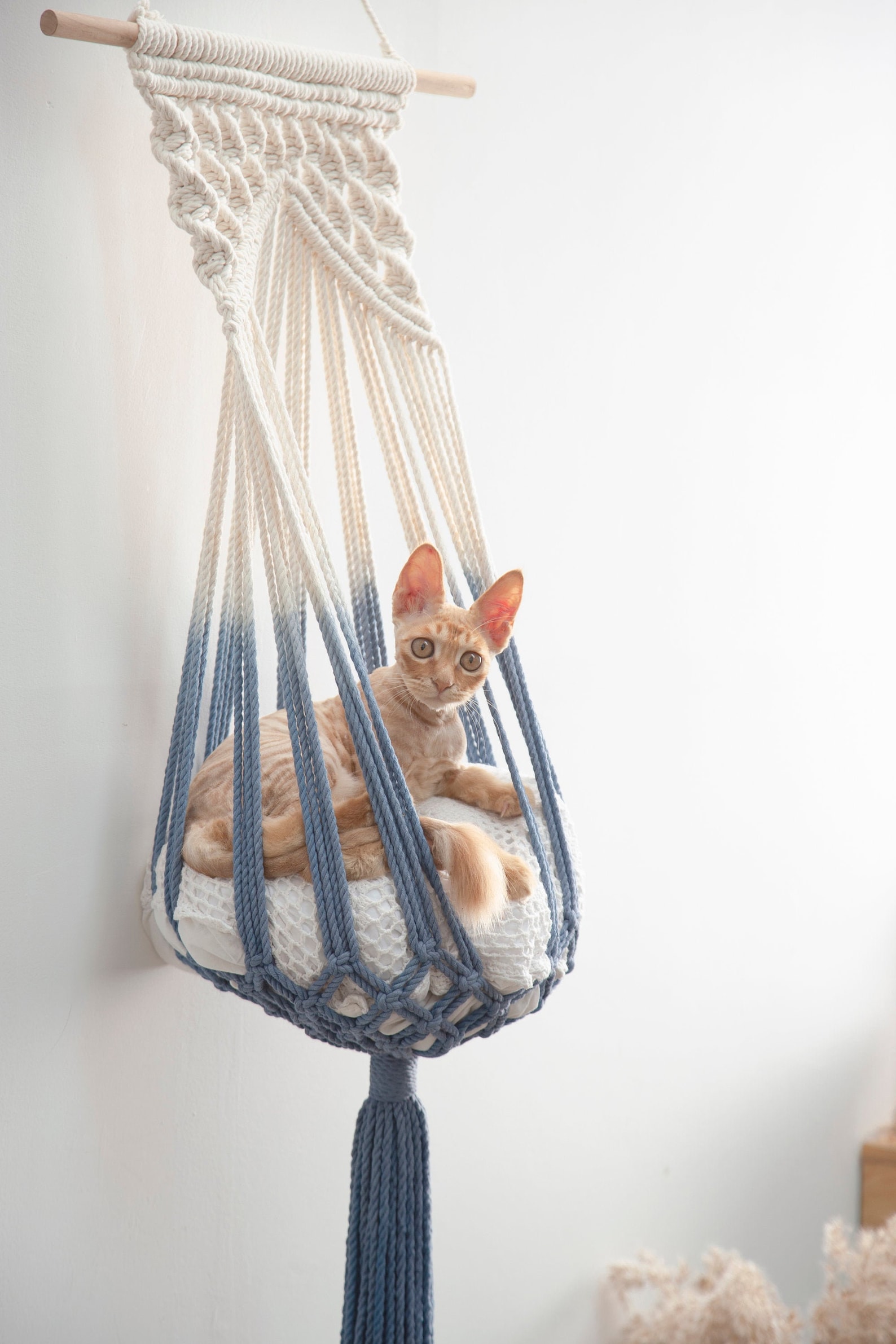 Макраме кот