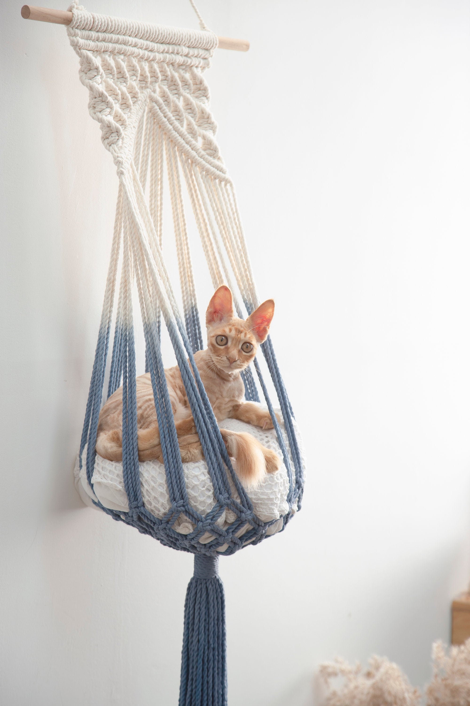 macrame hanging cat bed