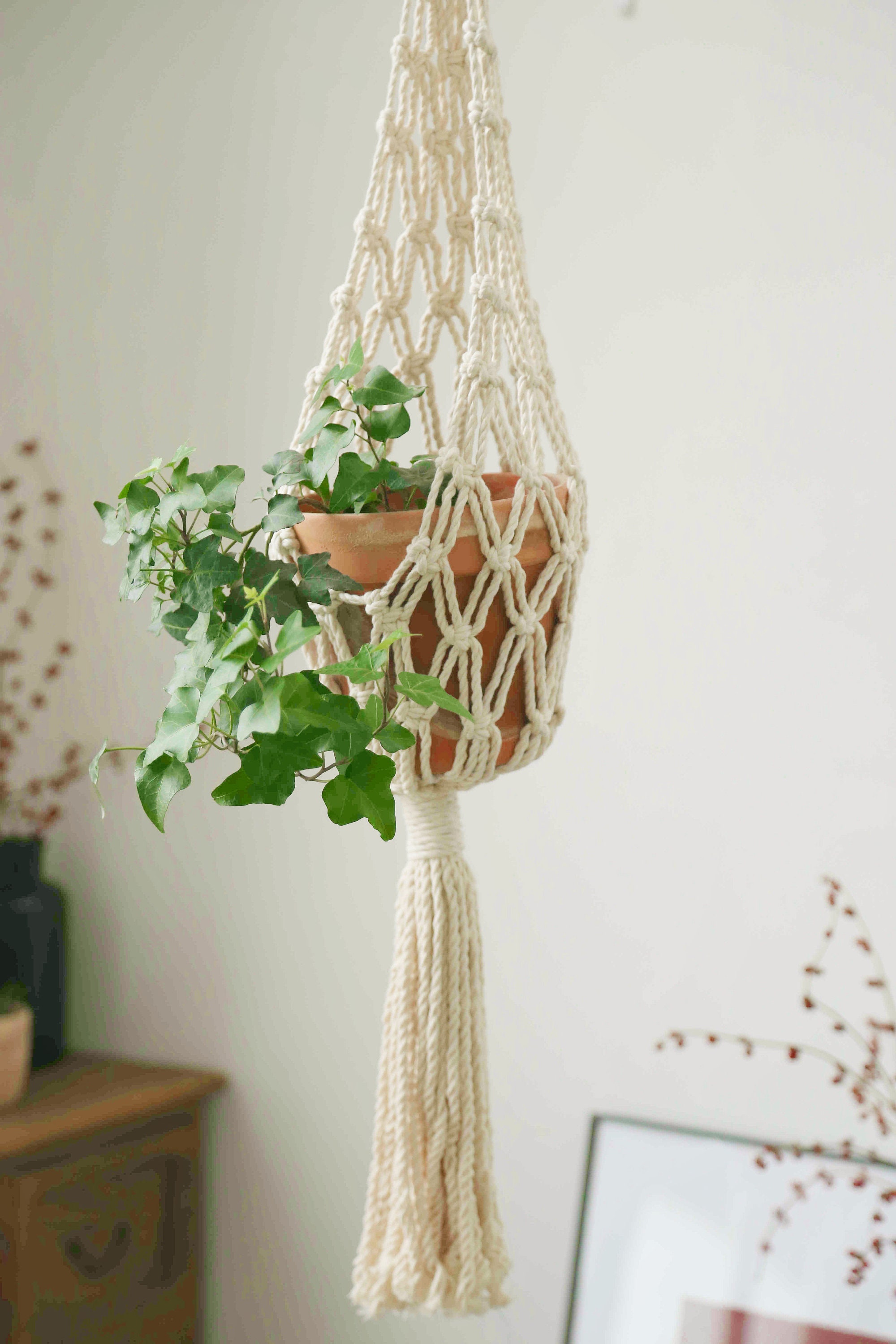 Bohemian Decor Air Plant Hanger Indoor Macrame Wall Holder Tapestry Hanging Spanish  Moss Tillandsia Usneoides Bedroom Decoration