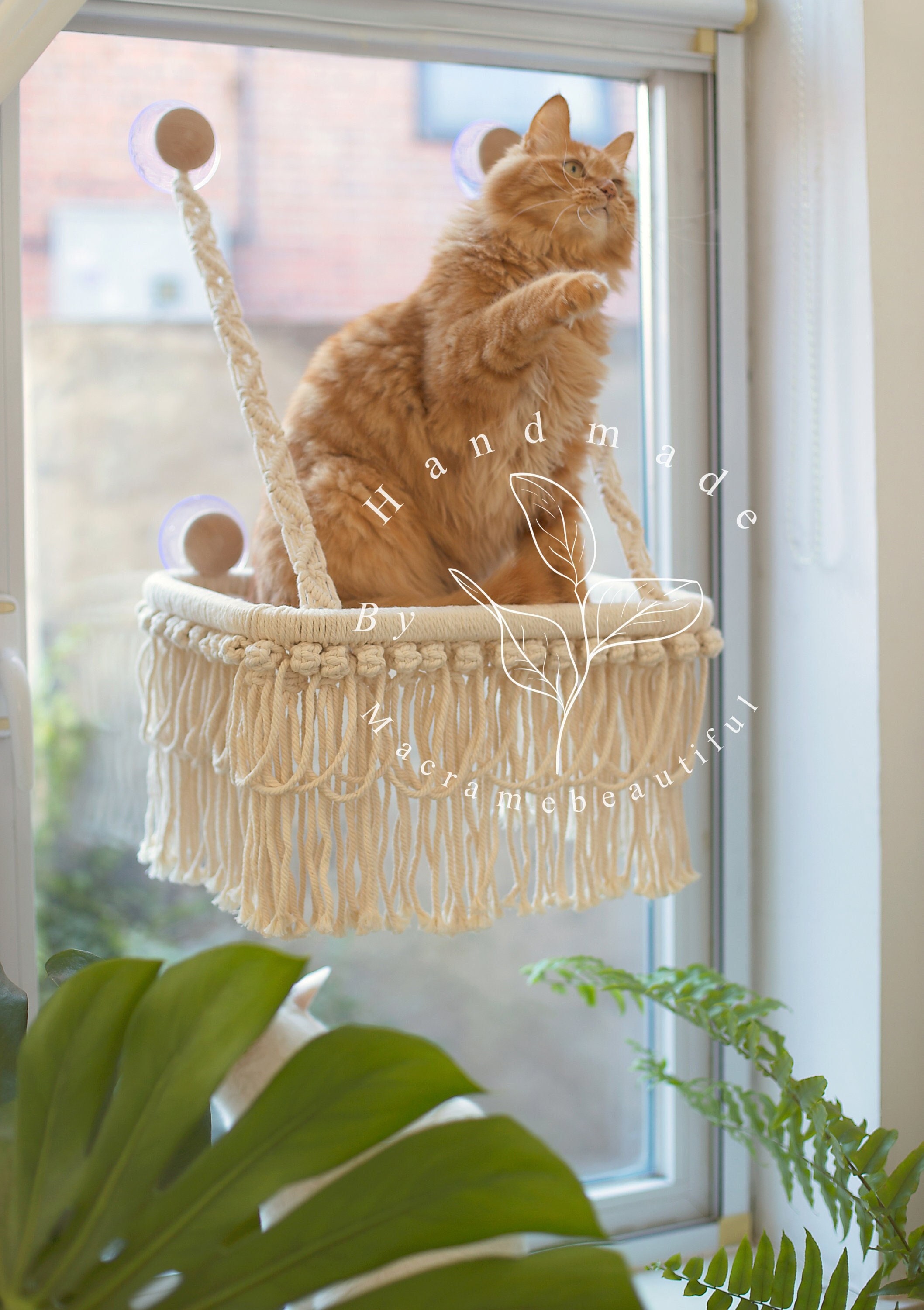 Cat Window Perch Macrame Cat Hammock Window Cat Seat Window Mounted Cat Bed Floating Cat Shelves Cat Lover Gifts Modern Cat Furniture Etsy