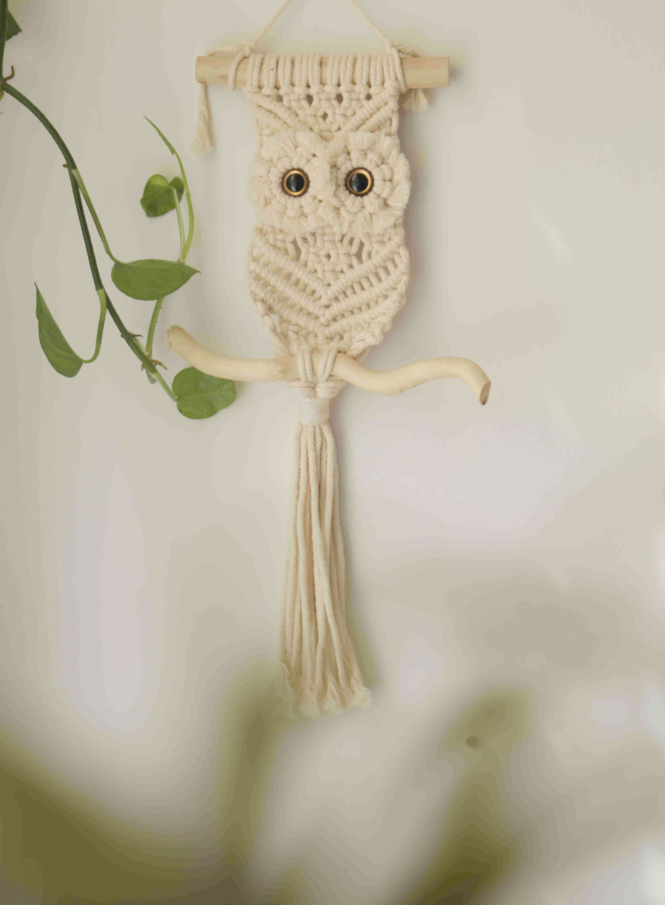 GZWY Tapiz De Pared Con Búhos Macramé, Cesta De Flores Para Colgar En