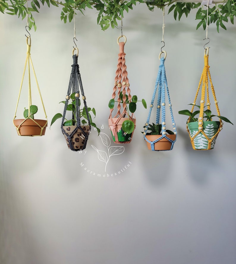 Macrame plant hangers in a range of bold colors, each intricately woven and embellished with beads, created by Macramebeautiful, showcasing potted greenery in a botanical setting