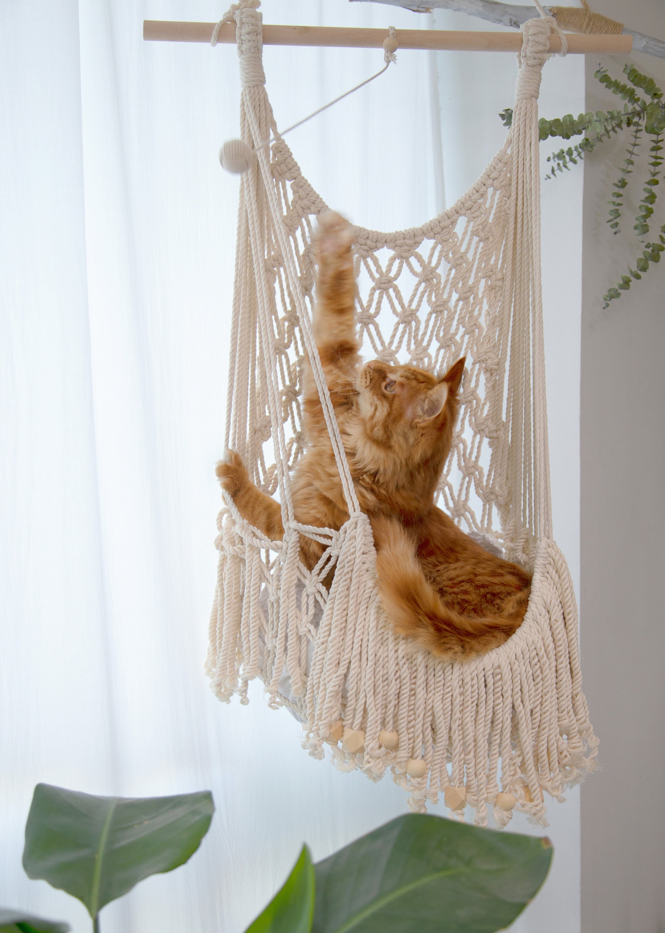 hanging cat bed