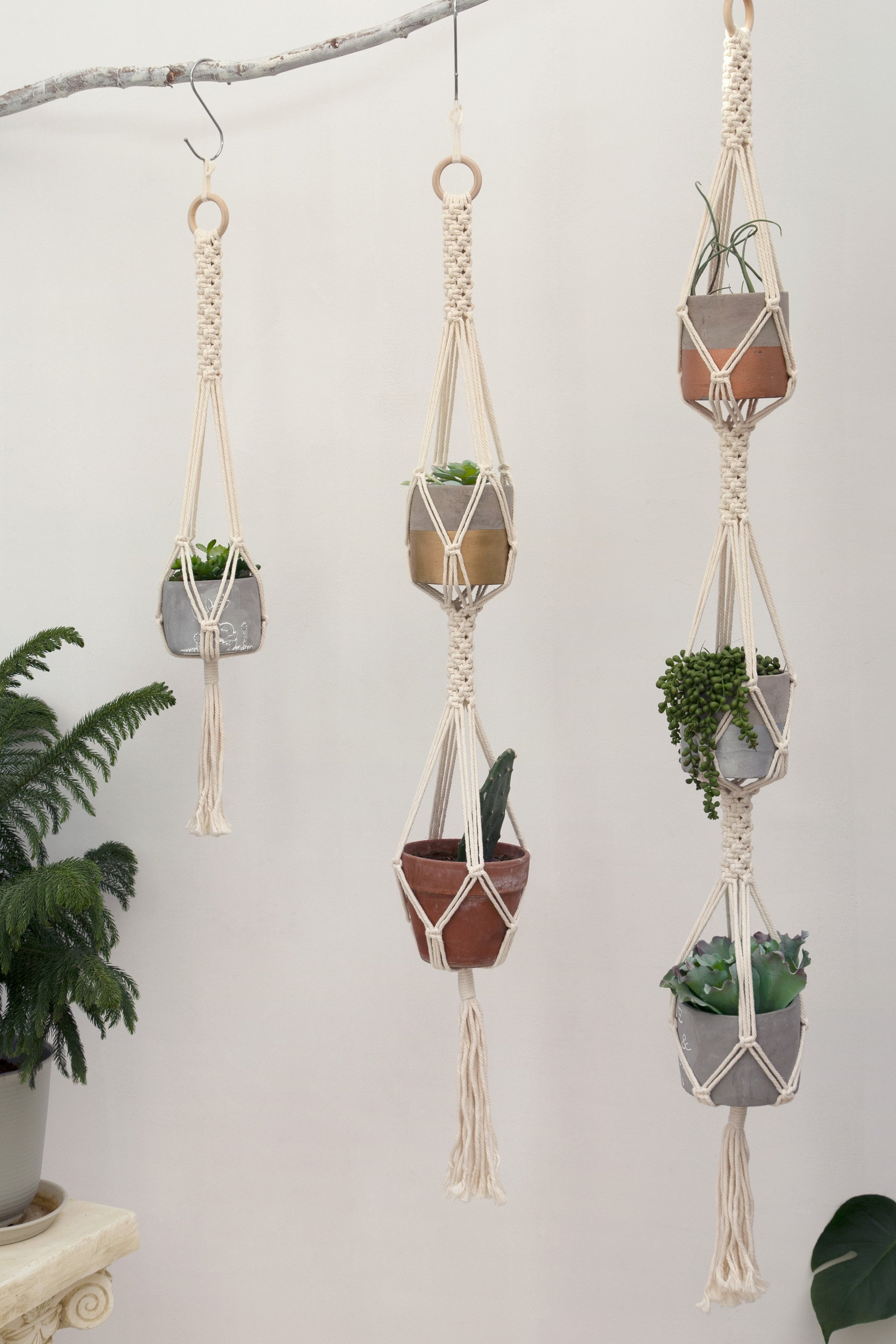 Macrame Plant Hanger Double Hanging Planter Tiered Wall Planter 3