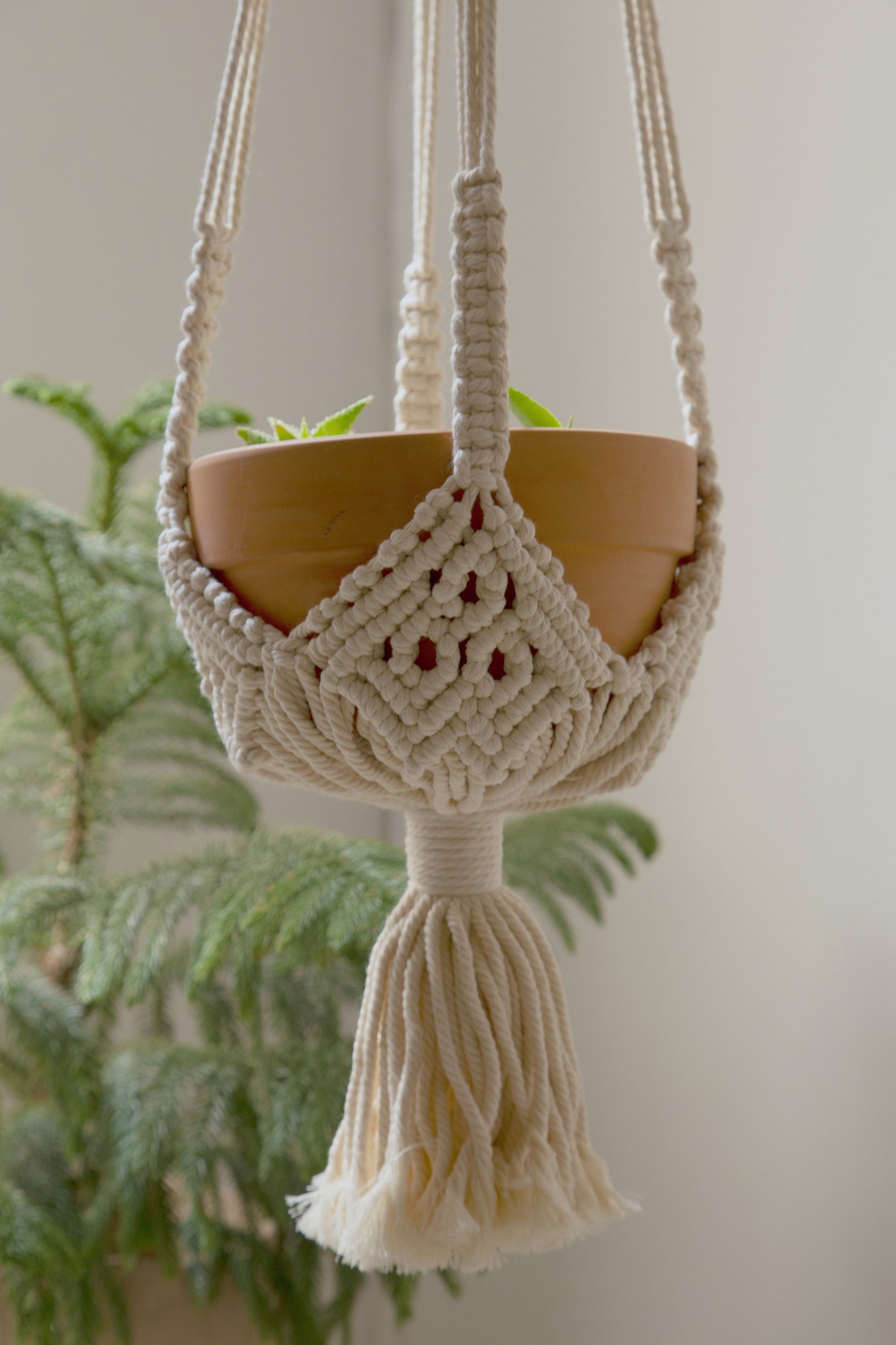 Macrame plant hanger Indoor garden decor Large hanging | Etsy