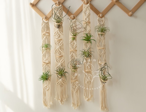Hanging Air Plant Holder Macrame Air Plant Hanger Small Hanging Planter  Indoor Plant Hanger Air Plant Display Plant Lover Gifts Boho Planter - Etsy  Denmark