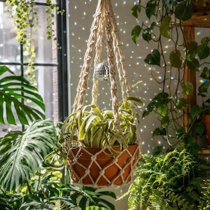 May include: A cream-coloured macrame plant hanger featuring a knotted cord design, holding a terracotta pot with a green plant. A small, reflective silver disco ball hangs inside the centre of the hanger, suspended by a thin cord.