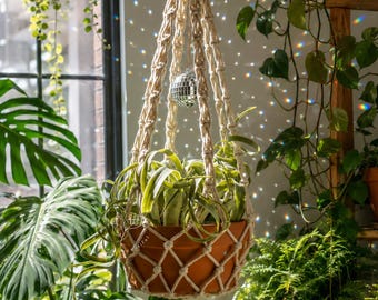 Macrame Plant Hanger no Tassel, Disco Ball Planter, Suncatcher Plant Hanger, Indoor Hanging Planter, Boho Planter, Plant Lover Gifts