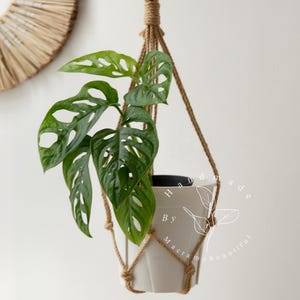 Handcrafted jute macramé plant hanger with a smooth wooden ring, diamond-knot pattern suspending a white pot of vibrant Swiss cheese vine—boho-modern hanging planter perfect for windows, patios, living rooms, and indoor greenery décor.