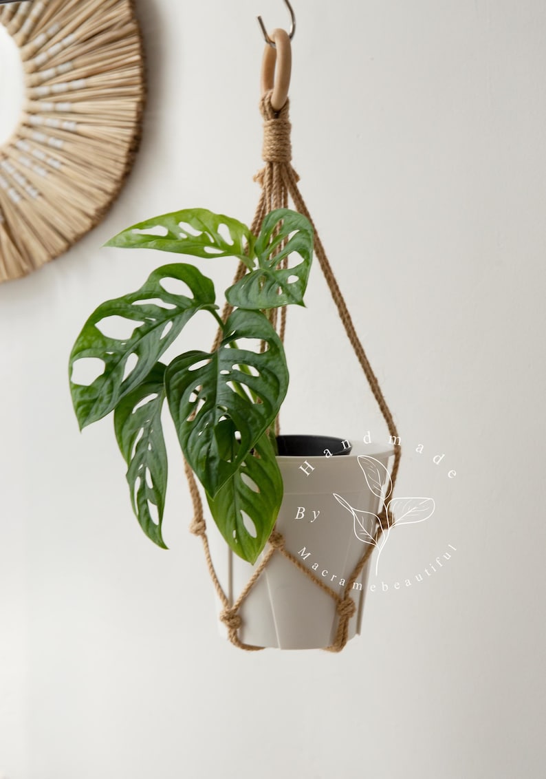 Handcrafted jute macramé plant hanger with a smooth wooden ring, diamond-knot pattern suspending a white pot of vibrant Swiss cheese vine—boho-modern hanging planter perfect for windows, patios, living rooms, and indoor greenery décor.