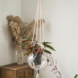 May include: A white macrame plant hanger with a wooden ring at the top and gray tassels. The hanger is holding a clear glass globe with a potted plant inside. The plant is a green and red leafy plant. The hanger is 55.12 inches/140cm long.