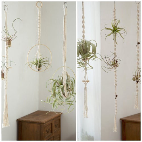 Air plant hanger Hanging air plant holder Airplants display wall planter Simple Minimalist macrame rope planter Boho Plant lover gifts