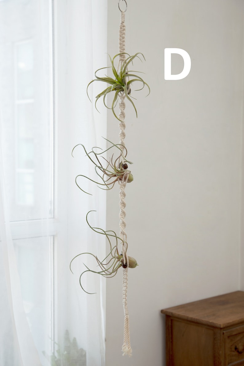 Macrame air plant holder Airplants tillandsia display