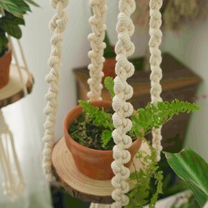 May include: A macrame plant hanger with a wooden platform and a potted fern plant. The hanger is made of natural white cotton rope and has a knot pattern. The plant is in a terracotta pot.