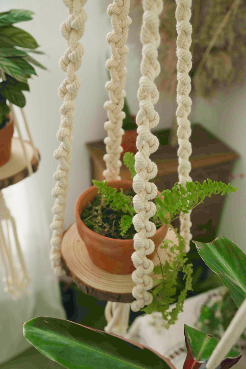 May include: A macrame plant hanger with a wooden platform and a potted fern plant. The hanger is made of natural white cotton rope and has a knot pattern. The plant is in a terracotta pot.