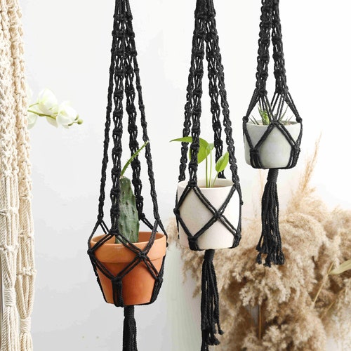 hanging plants indoor Minimalist Hanging Planter  Novus Decor