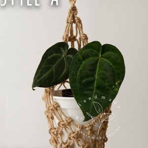 Boho jute macramé plant hanger (Style A) with wooden hanging ring, open diamond knot design suspending a white 5.9″×5.1″ pot of heartleaf philodendron—19.6″/50 cm total length.