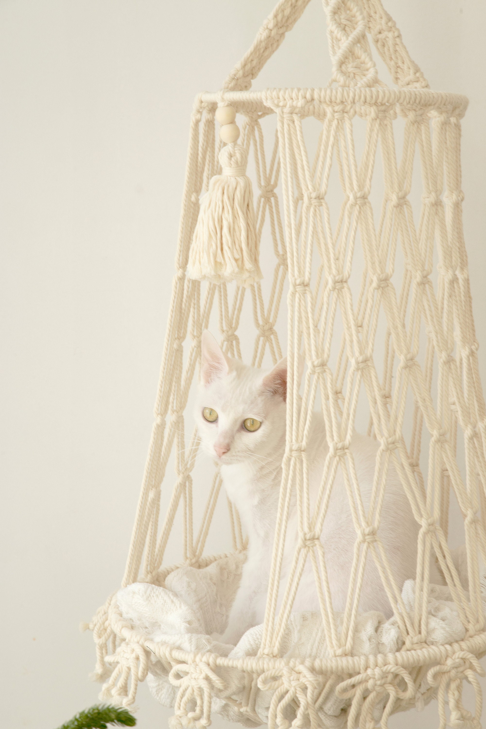 Hängende Katze Bett Makramee Katze Hängematte Katze Wandmöbel | Etsy