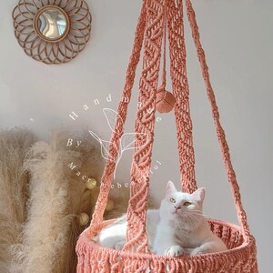 May include: A peach-colored macrame cat bed with a white cat inside. The hanging bed has a round base and is suspended from a single point. The bed is decorated with fringe and intricate knotting. The background includes a decorative mirror and dried plants.