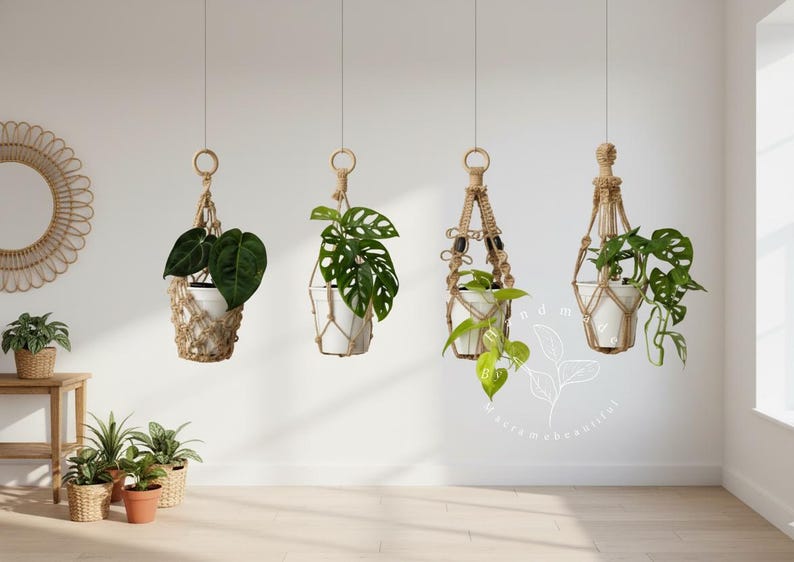 Set of four handmade jute macramé plant hangers holding potted houseplants — boho indoor hanging planters, natural rustic wall or ceiling decor for living room, kitchen, or balcony.
