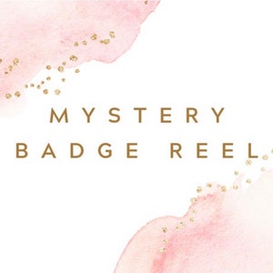 MYSTERY BADGE REEL | nurse badge reel | teacher badge holder | Disney badge holder | retractable badge reel