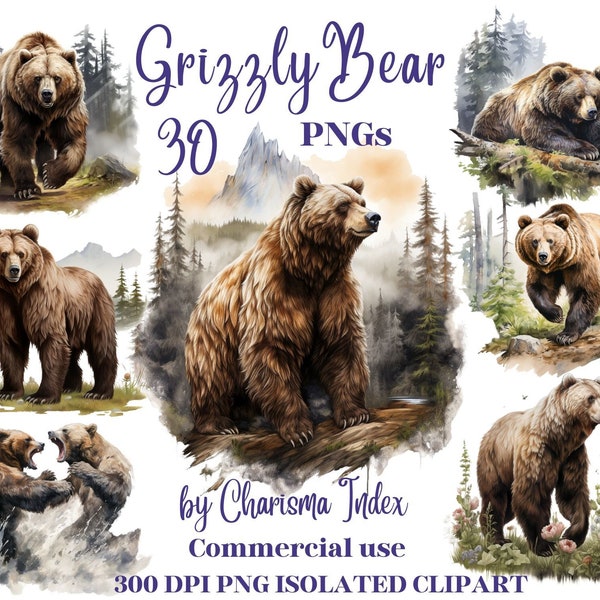 Watercolor Grizzly Bear PNG, Bear Clipart Bundle, bear Sublimation Designs, Bears Pack Clipart Design Digital Art, Book art, Bear bundle