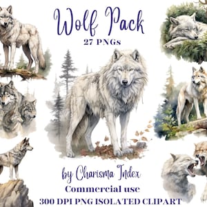Op de afbeelding: Een digitaal pakket met 27 aquarel illustraties van witte wolven in verschillende poses, waaronder een huilende wolf, een slapende wolf en een staande wolf. Het pakket heeft de titel "Wolf Pack" en bevat de tekst "27 PNGs" en "300 DPI PNG ISOLATED CLIPART".