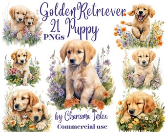 Watercolor Puppy PNG Golden Retriever, Puppy Clipart Bundle, Sublimation Designs, Golden Retriever Pack Clipart Digital Art, Puppy PNG art
