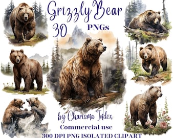 Watercolor Grizzly Bear PNG, Bear Clipart Bundle, bear Sublimation Designs, Bears Pack Clipart Design Digital Art, Book art, Bear bundle