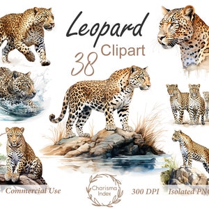 Aquarel Leopard PNG, Leopard Clipart Bundle, Leopard Sublimation Designs, Wild Cats Clipart Design Digital Download, Commercieel gebruik