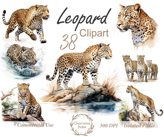 Watercolor Leopard PNG, Leopard Clipart Bundle, leopard Sublimation Designs, Wild Cats Clipart Design Digital Download, Commercial use