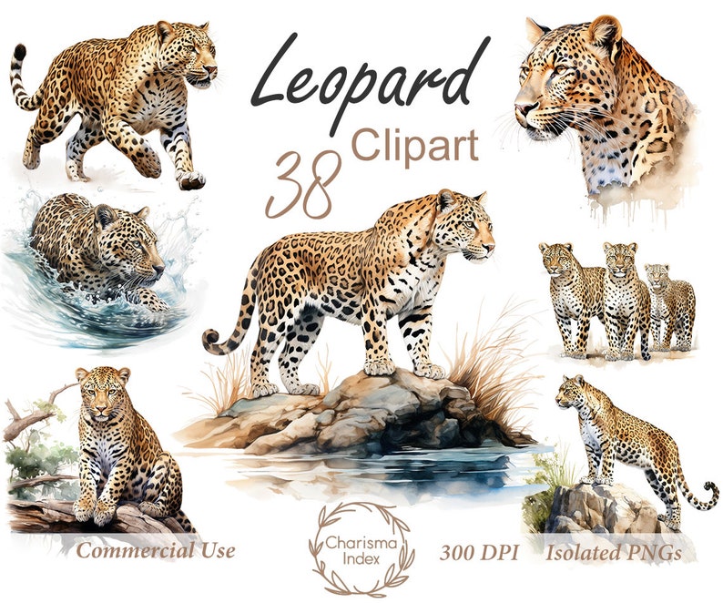 Aquarell Leopard PNG, Leopard Clipart Bundle, Leopard Sublimation Designs, Wild Cats Clipart Design Digitaler Download, kommerzielle Nutzung Bild 1