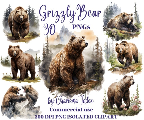 Watercolor Grizzly Bear PNG, Bear Clipart Bundle, bear Sublimation Designs, Bears Pack Clipart Design Digital Art, Book art, Bear bundle