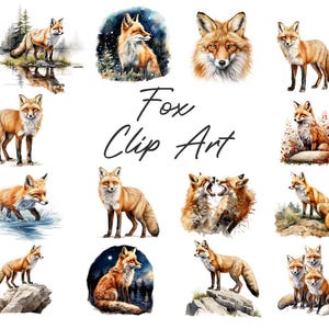 May include: A collection of watercolor fox clip art illustrations. The images feature foxes in various poses and settings, including standing, sitting, and in natural environments. The text "Fox Clip Art" is written in cursive.